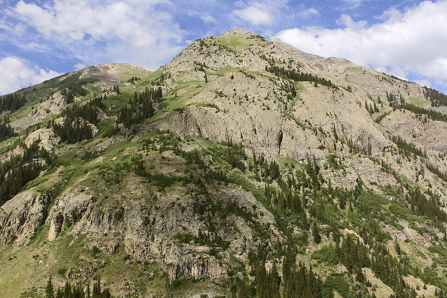 Engineer Pass In Colorado Photograph