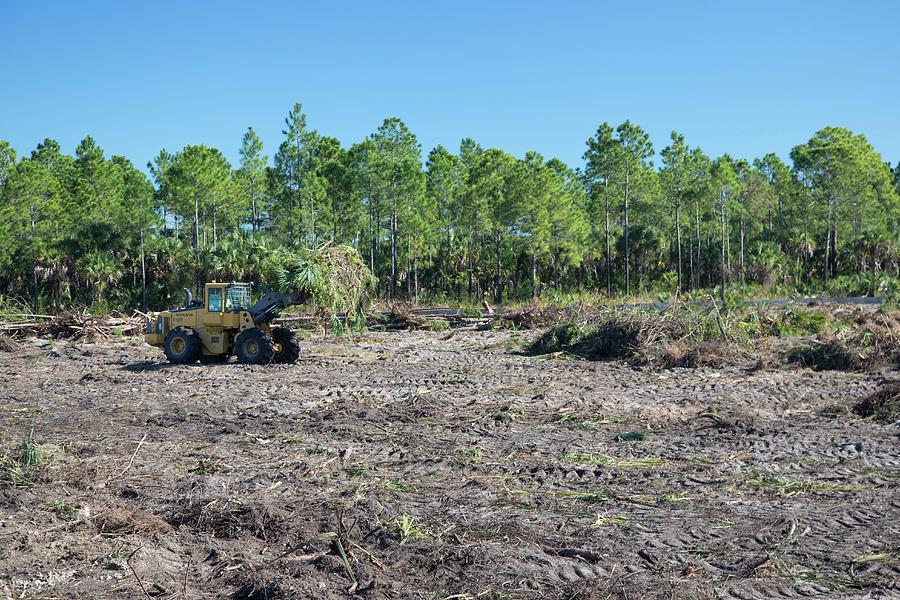 Everglades Restoration #8 Photograph by Jim West