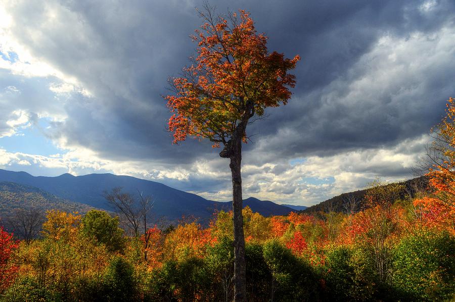 Fall Foliage in New Hampshire #8 Photograph by Paul James Bannerman