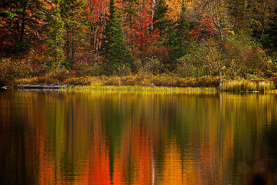 Fall Reflections #8 Photograph by Prince Andre Faubert