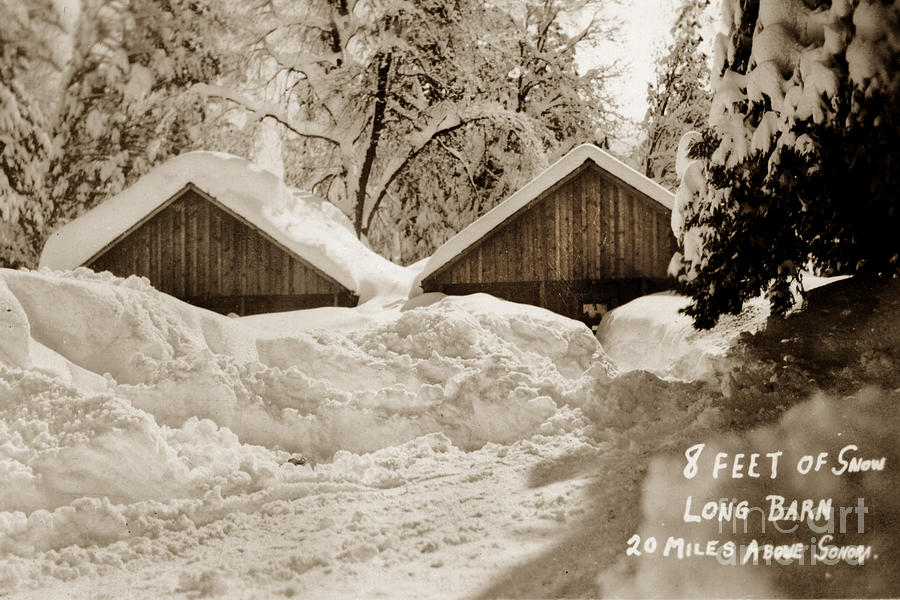 Snow Photograph - 8 feet of snow Long Barn Tuolumne County 1930 by Monterey County Historical Society