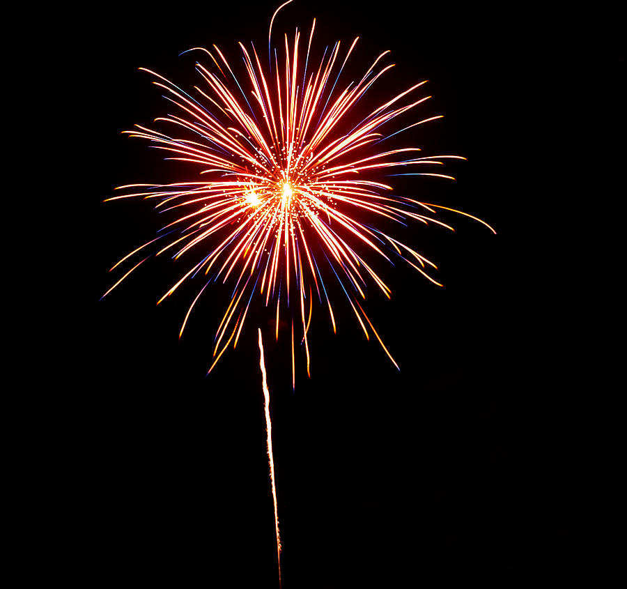 Fireworks Photograph by Rachel Sanderoff - Fine Art America