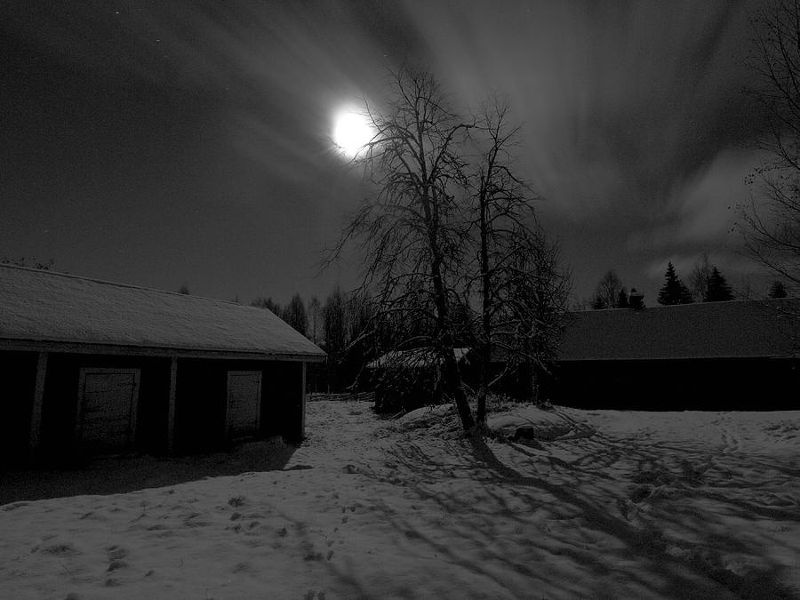 First Snow In Kovero Moonlight Photograph