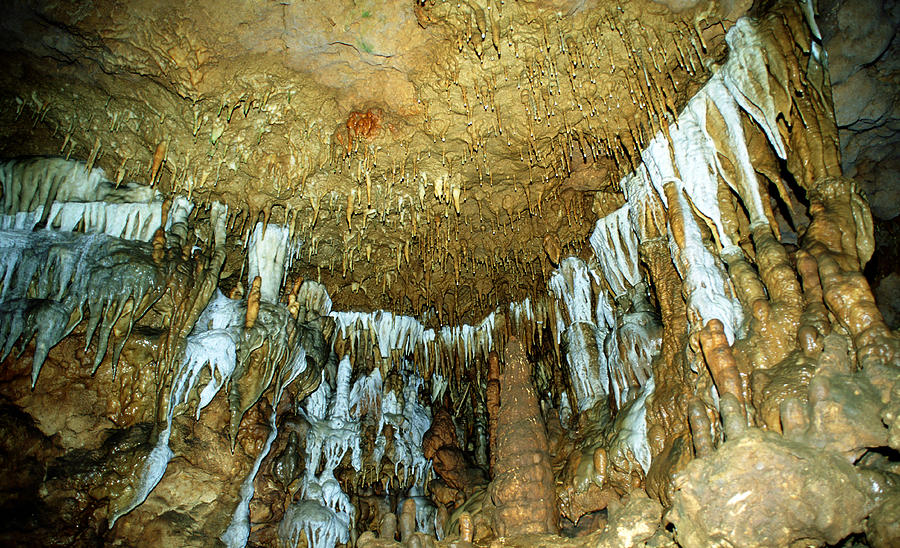 Florida Caverns State Park #8 Photograph by Millard H. Sharp