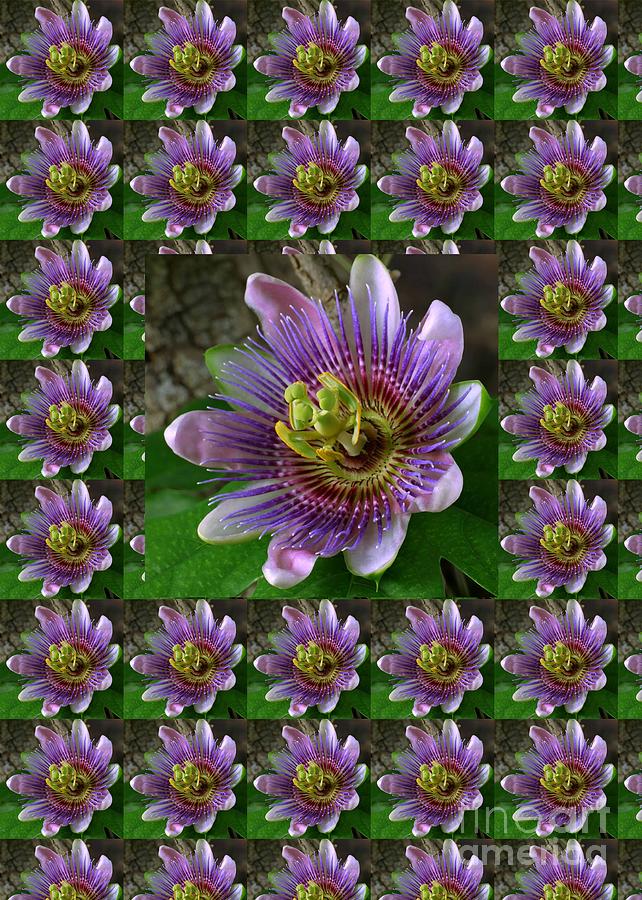 Flower Photograph - Flower Pattern using Artist Created Color Tone n Textures DIY Template Download License Print Rights #8 by Navin Joshi