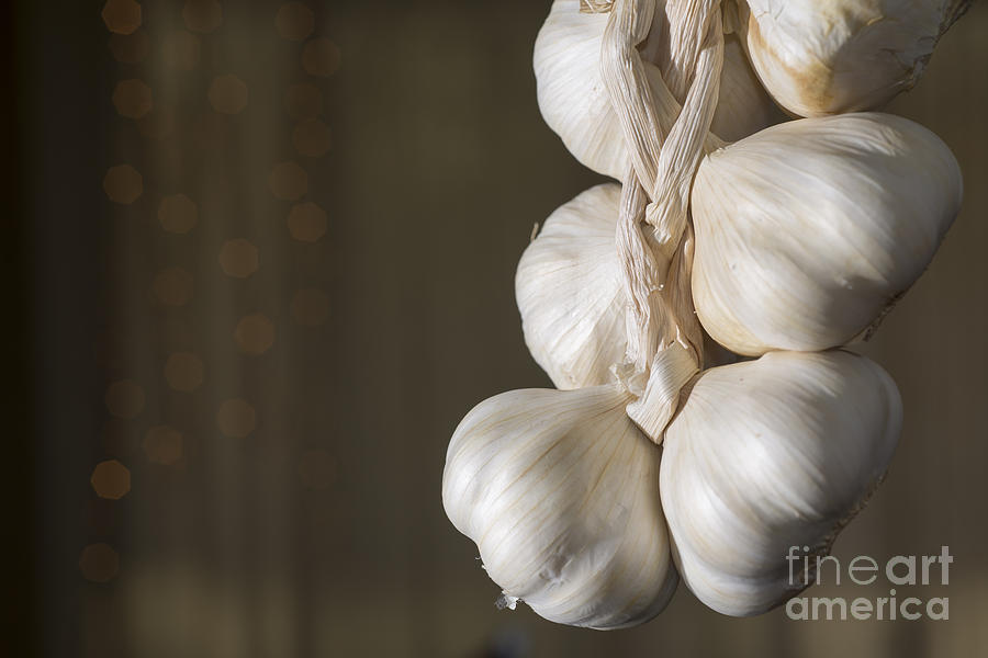 Vegetable Photograph - Garlic #8 by Mats Silvan