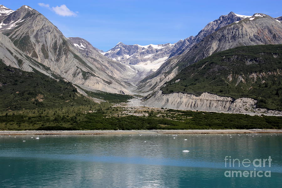 Nature Photograph - Glacier Bay National Park #8 by Sophie Vigneault