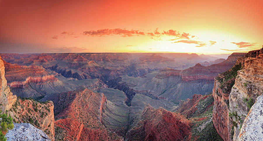 Grand Canyon National Park #8 Photograph by Michele Falzone
