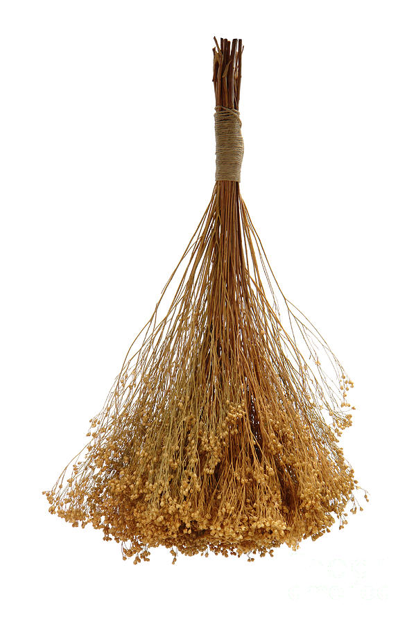 Flower Photograph - Hanging Dried Flowers Bunch #8 by Olivier Le Queinec
