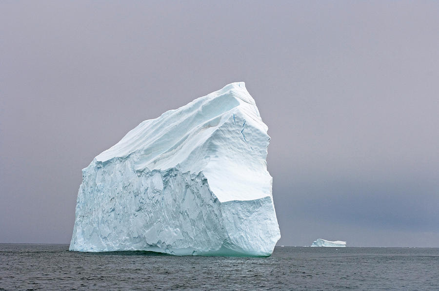 Iceberg Floating Off The Western Photograph by Steven J. Kazlowski ...