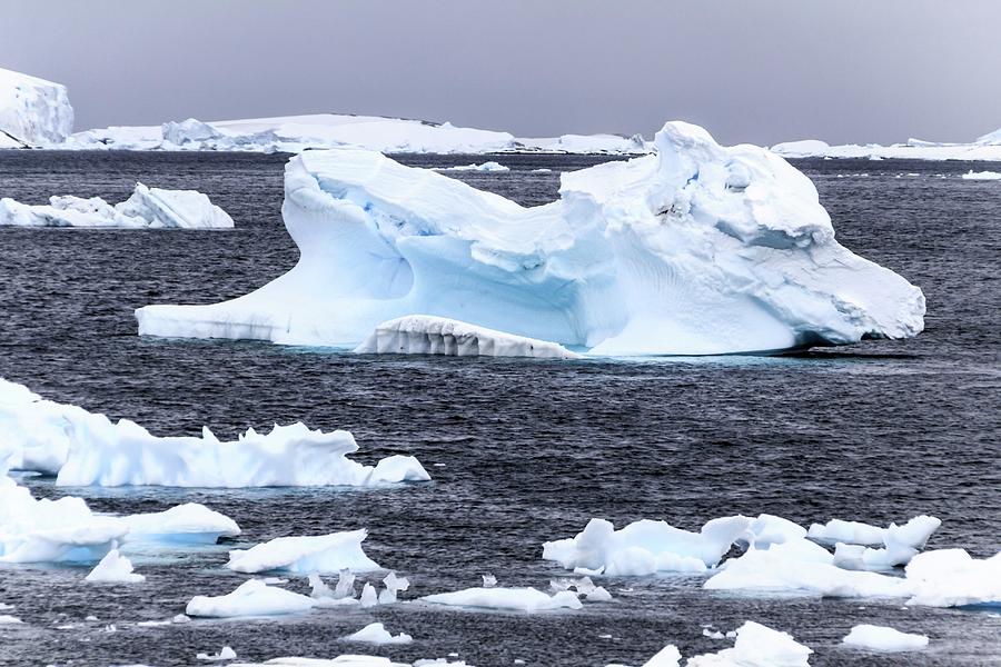 Icebergs Photograph By Alfred Pasieka Science Photo Library 