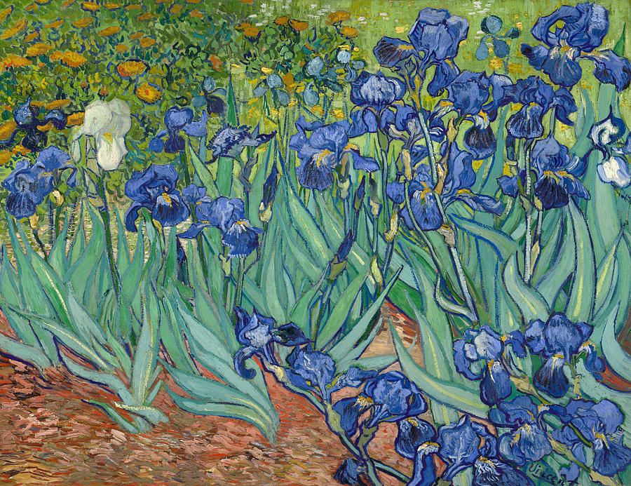 Vincent Van Gogh Painting - Irises #8 by Vincent van Gogh