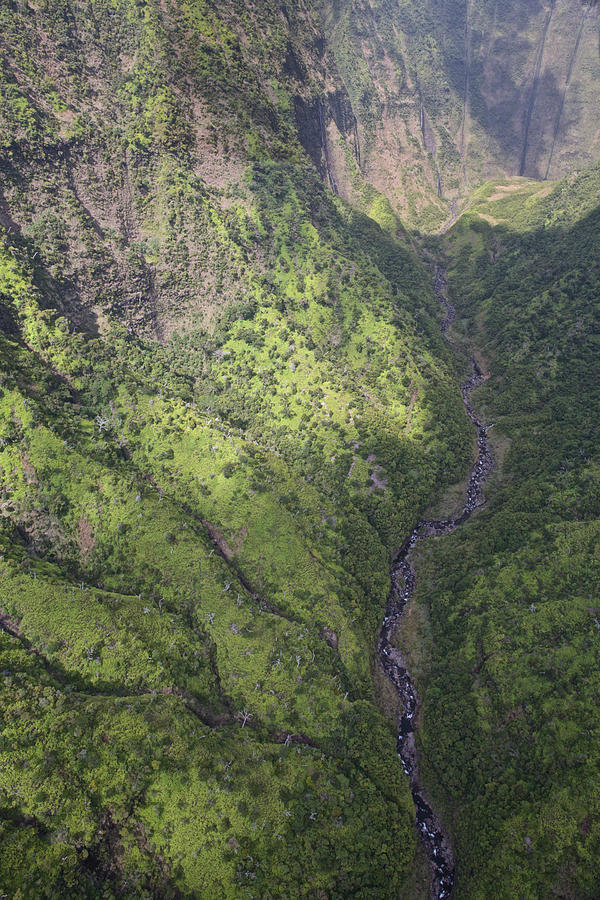 Kauai Canyon #8 Photograph by Steven Lapkin