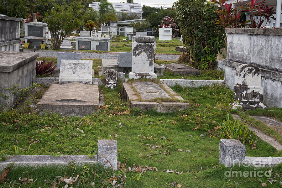 Key West Cemetery Digital Art