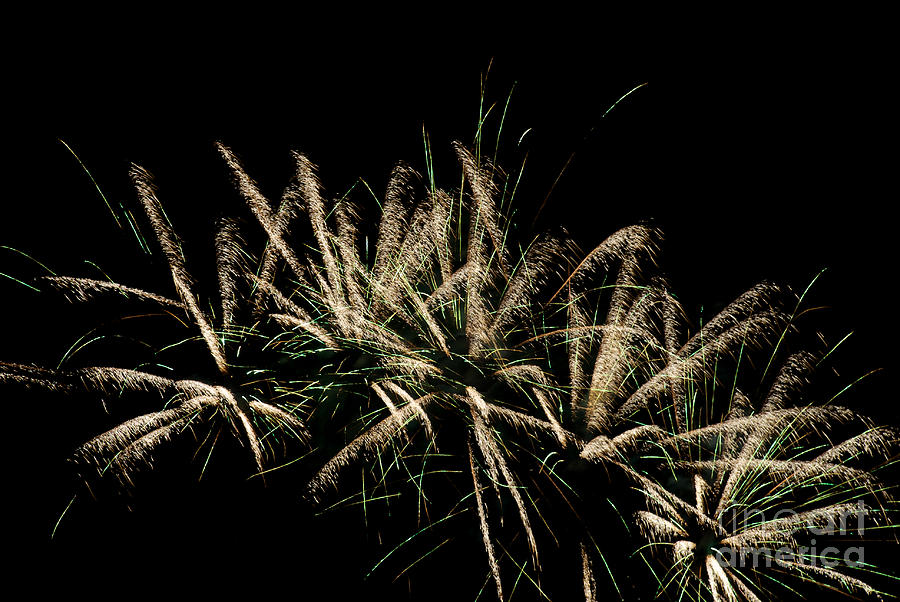Local Fireworks #8 Photograph by Mark Dodd