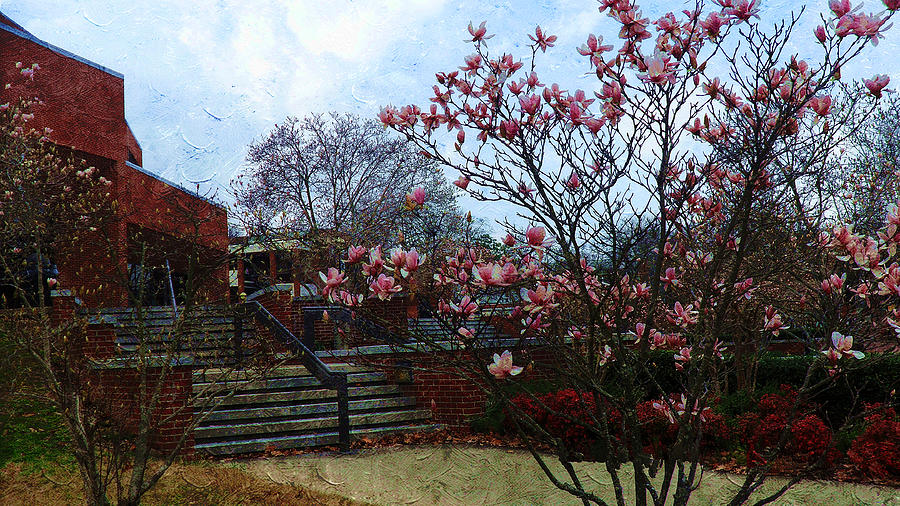 Magnolia Flowers #4 Painting by Xueyin Chen