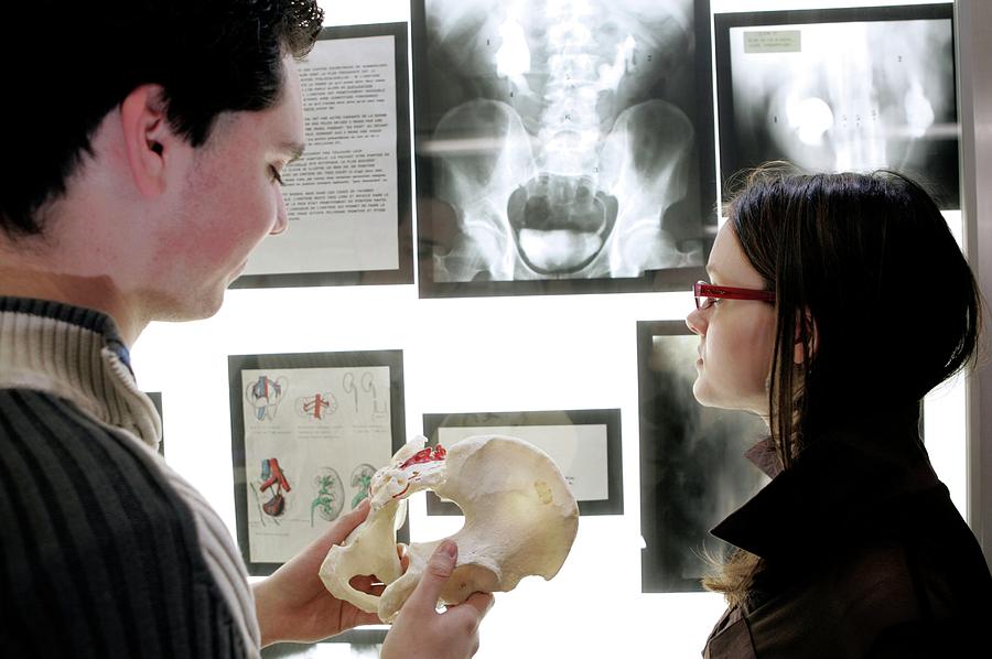 Skeleton Photograph - Medical Studies #8 by John Thys/reporters/science Photo Library