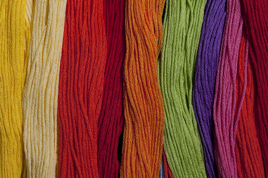 Multicolored embroidery thread in rows #8 Photograph by Jim Corwin