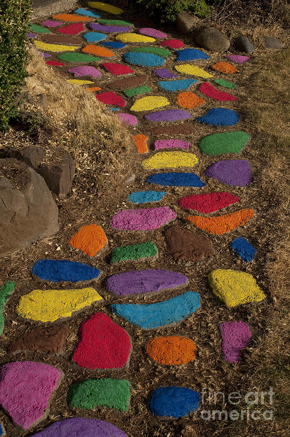 Multicolored rock path #8 Photograph by Jim Corwin
