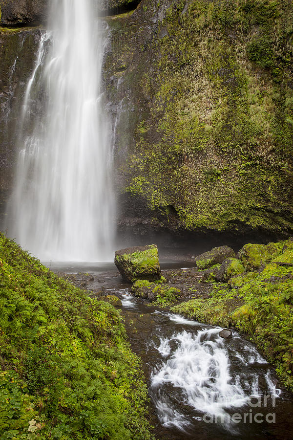Waterfall Photograph - Multnomah Falls - Oregon - Vertical by Brian Jannsen