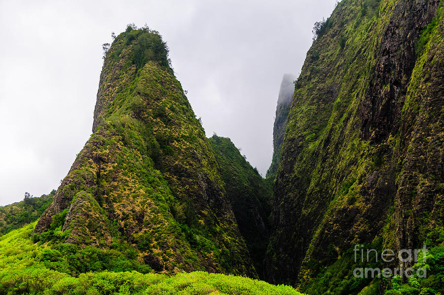 Overview of the Iao Needle State Park Maui Hawaii USA #8 Photograph by Don Landwehrle