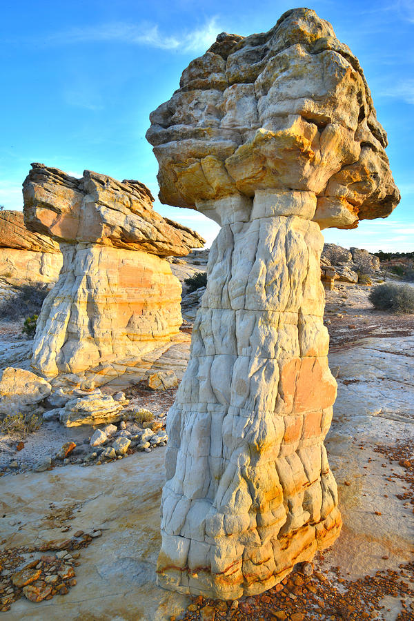 Pillars of Stone #7 Photograph by Ray Mathis