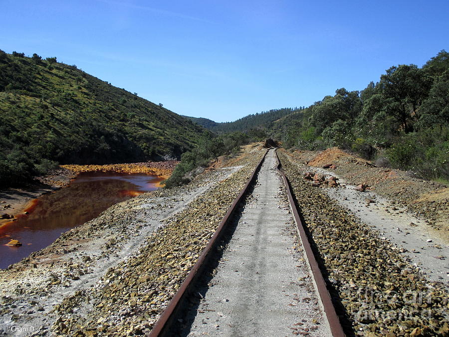 Rio Tinto Abandoned Railway #12 Photograph by Chani Demuijlder