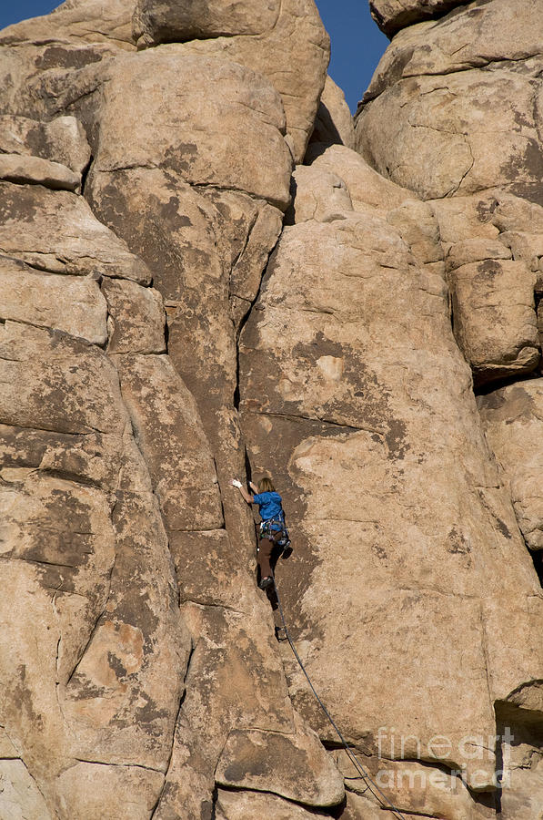 Rock Climber, Joshua Tree Np #8 Photograph by Mark Newman