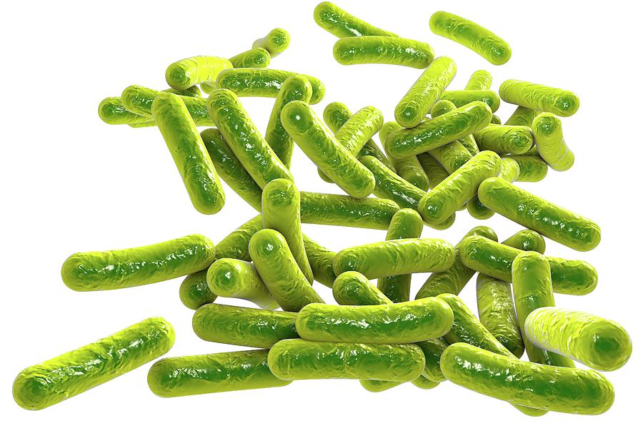 Rod-shaped Bacteria #8 Photograph by Kateryna Kon