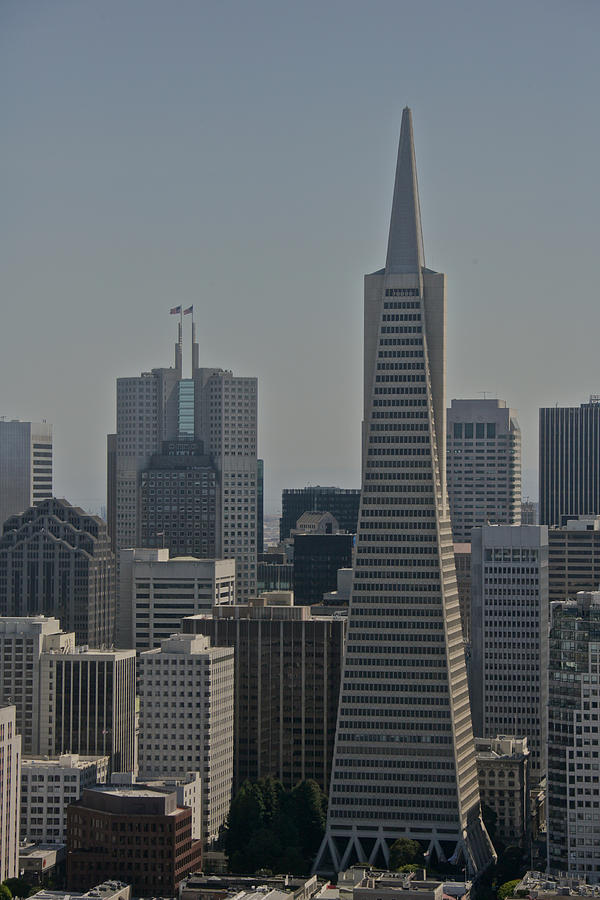 San Francisco Skyline #8 Photograph by Steven Lapkin