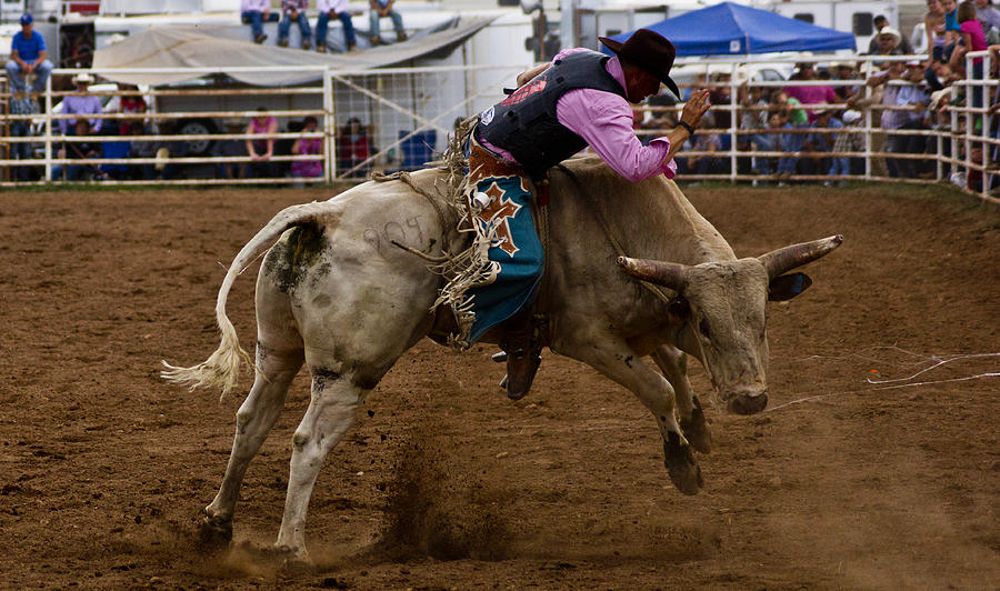 Rodeo Photograph - 8 Seconds in Sonoita by Patrick Moore