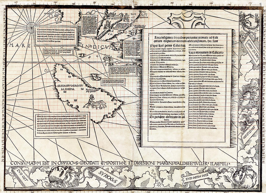 Section Of Waldseemuller's Carta Marina Photograph by Library Of ...