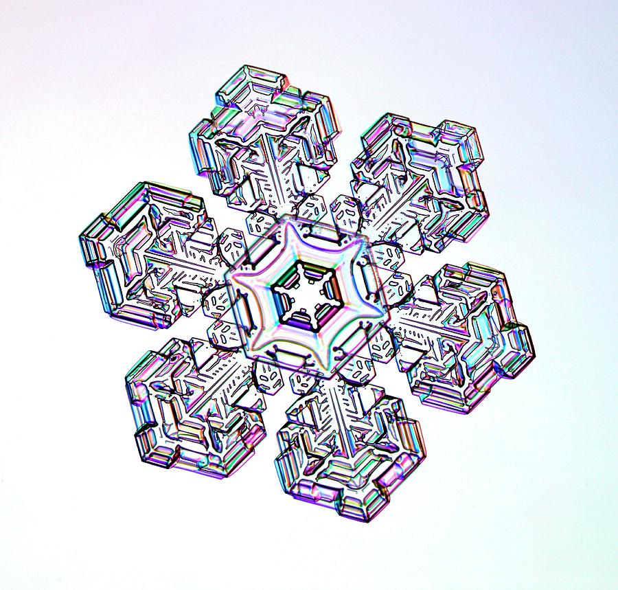 Snowflake #8 Photograph by Kenneth Libbrecht
