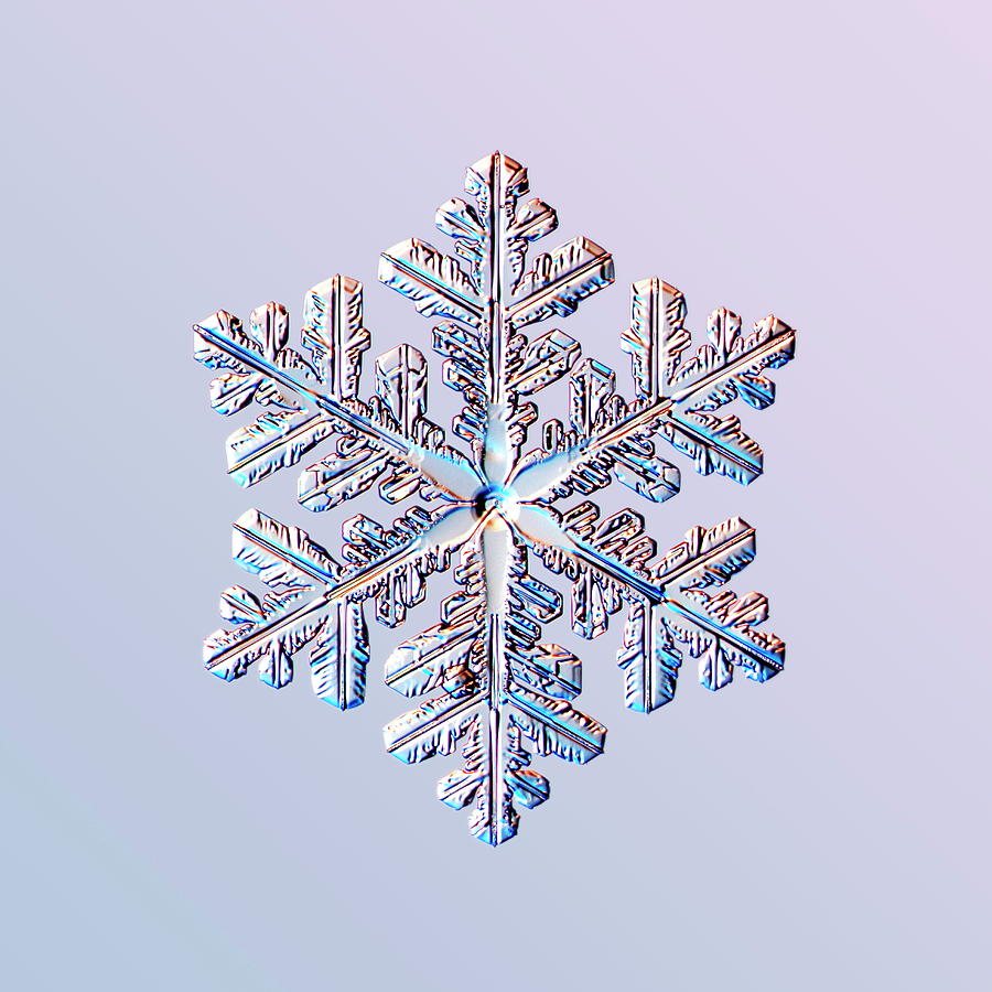 Snowflake #8 Photograph by Kenneth Libbrecht/science Photo Library