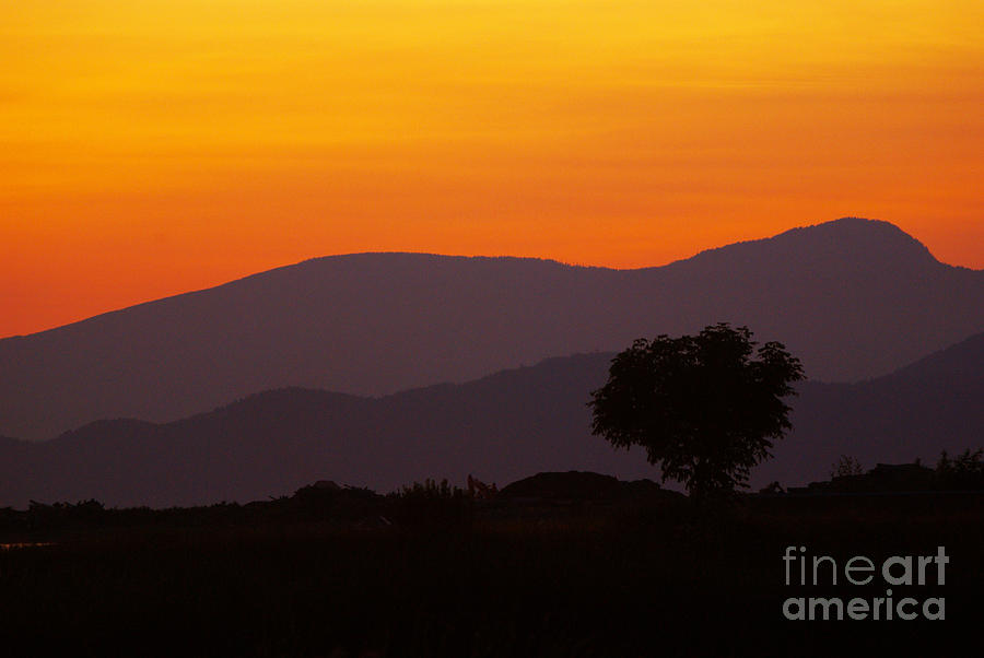 Nature Photograph - Sunset #8 by James Yang