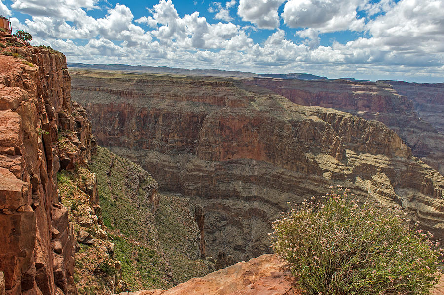 The Grand Canyon #8 Photograph by Willie Harper
