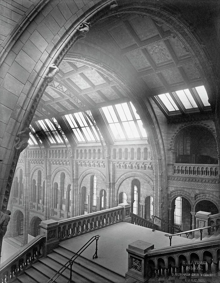 The Natural History Museum #8 Photograph by Natural History Museum, London