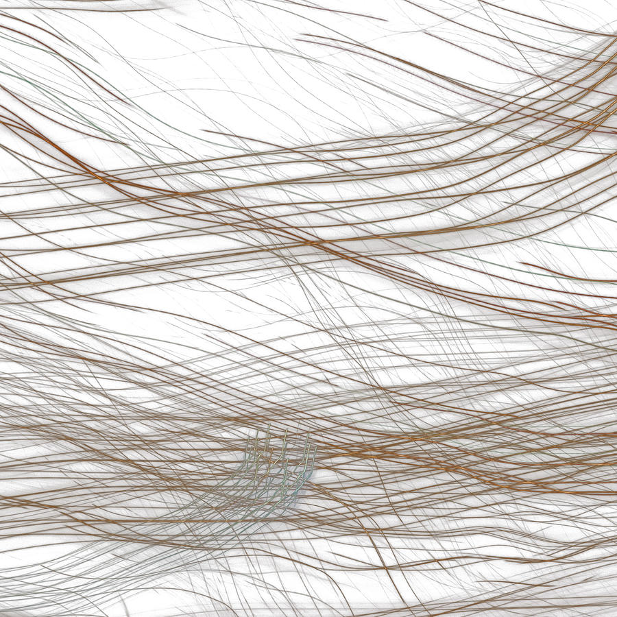 Image Photograph - Untitled - Black Out Series by Eric Dubnicka Image Photograph - Untitled - Black Out Series by Eric Dubnicka