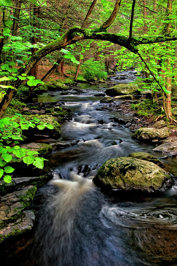 Usa, Pennsylvania, Dingmans Ferry Photograph By Jaynes Gallery - Pixels