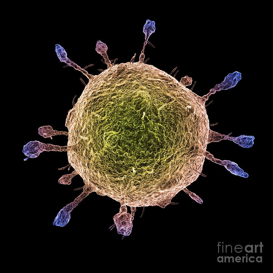 Virus Artwork Photograph By Alfred Pasieka Fine Art America