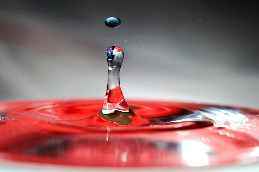 Water Drop Photograph by William Ragan - Fine Art America