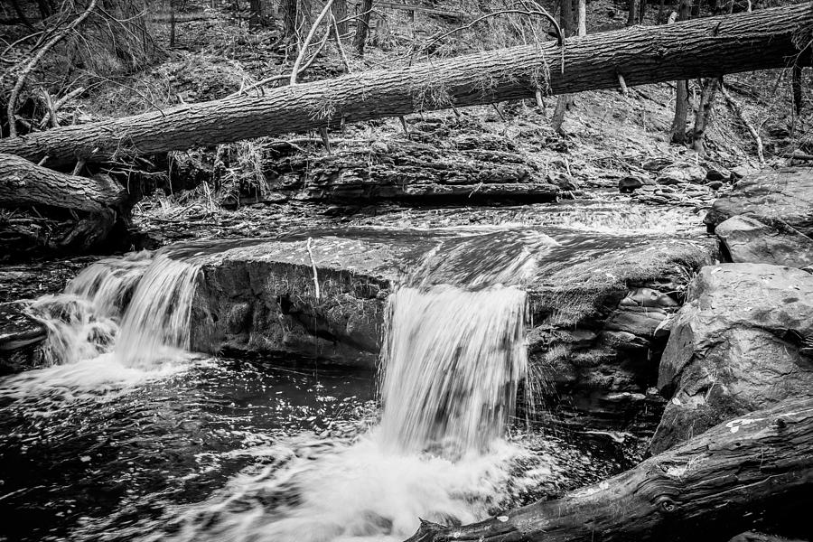 Waterfalls George W Childs National Park Painted BW   #8 Photograph by Rich Franco