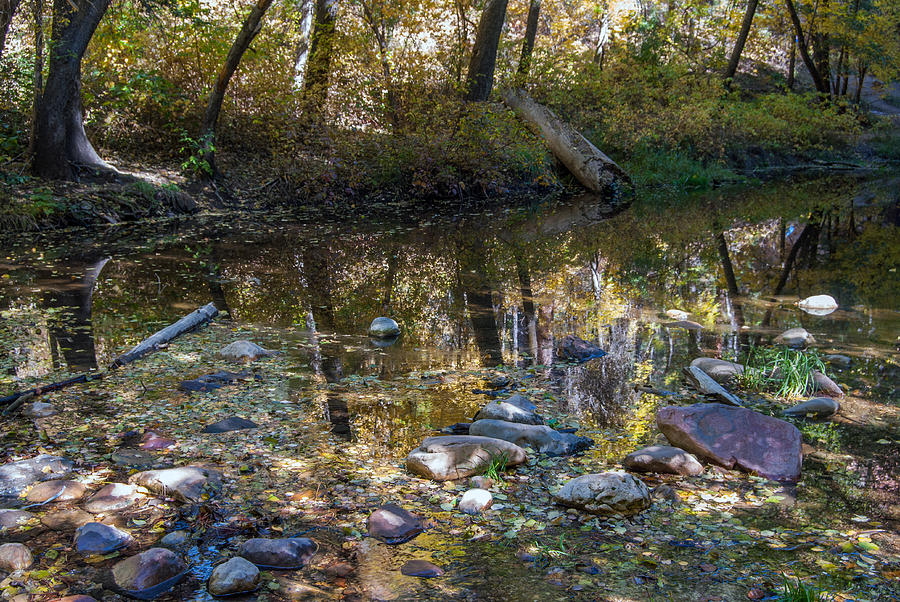 Landscape Photograph - West Fork Oak Creek #8 by Tam Ryan