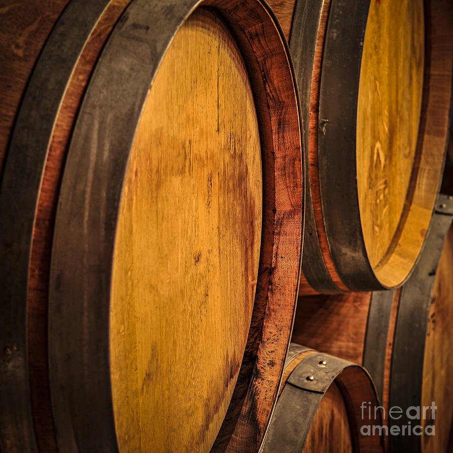 Wine Photograph - Wine barrels 2 by Elena Elisseeva
