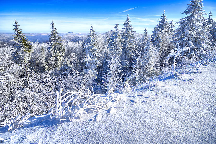 Winter Along The Highland Scenic Highway Photograph
