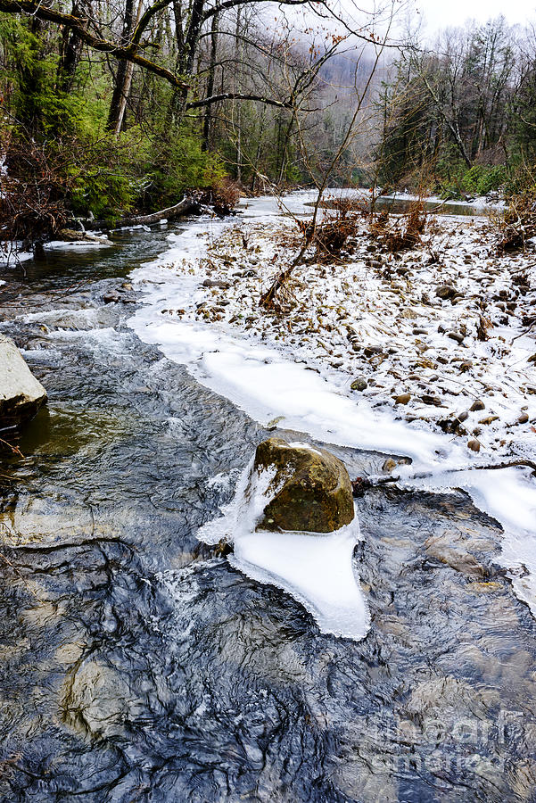 Winter Photograph - Winter along Williams River #8 by Thomas R Fletcher