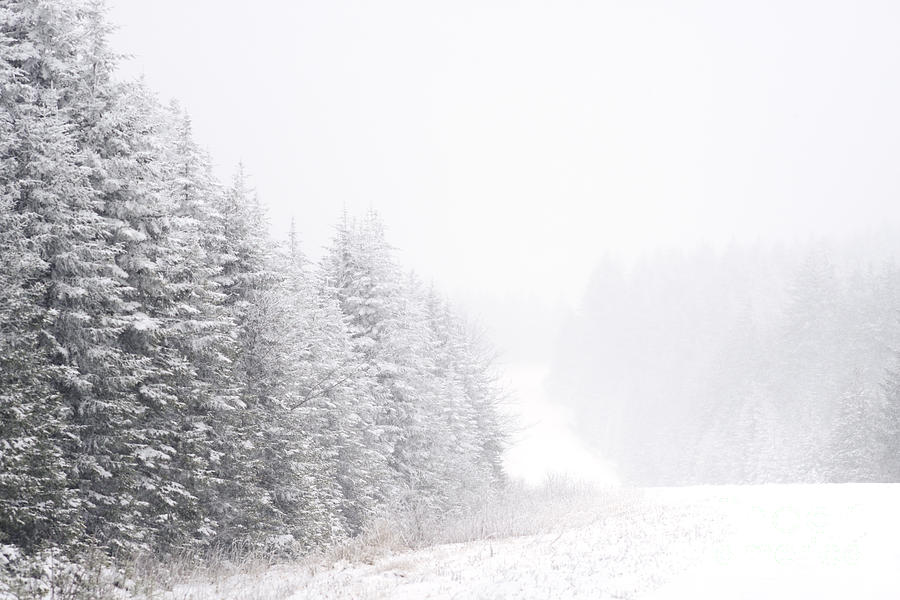 Winter Highland Scenic Highway Photograph