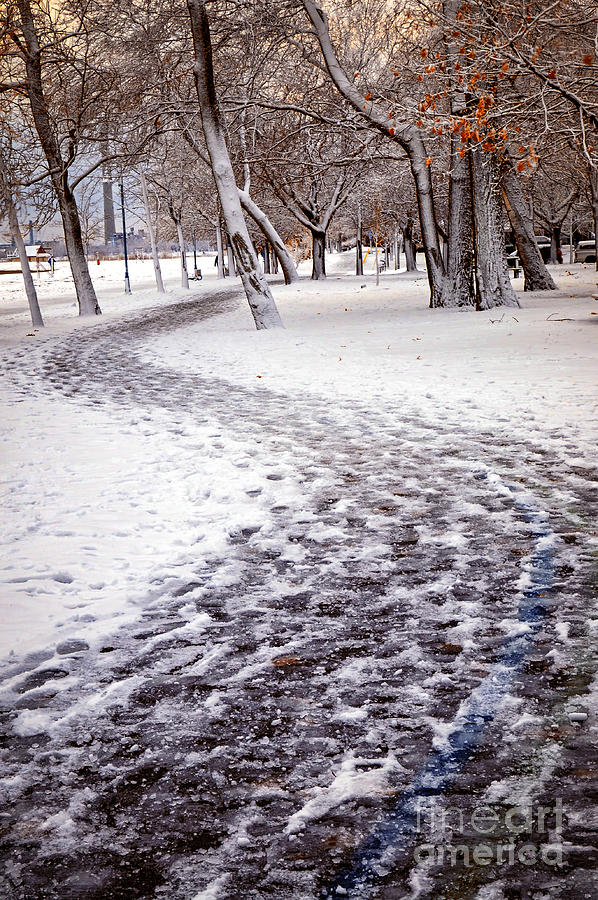 Winter park 3 Photograph by Elena Elisseeva