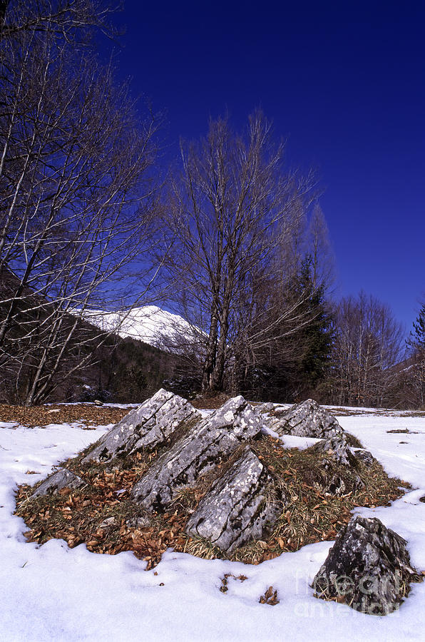 Wintertime in Abruzzo National Park #10 Photograph by George Atsametakis