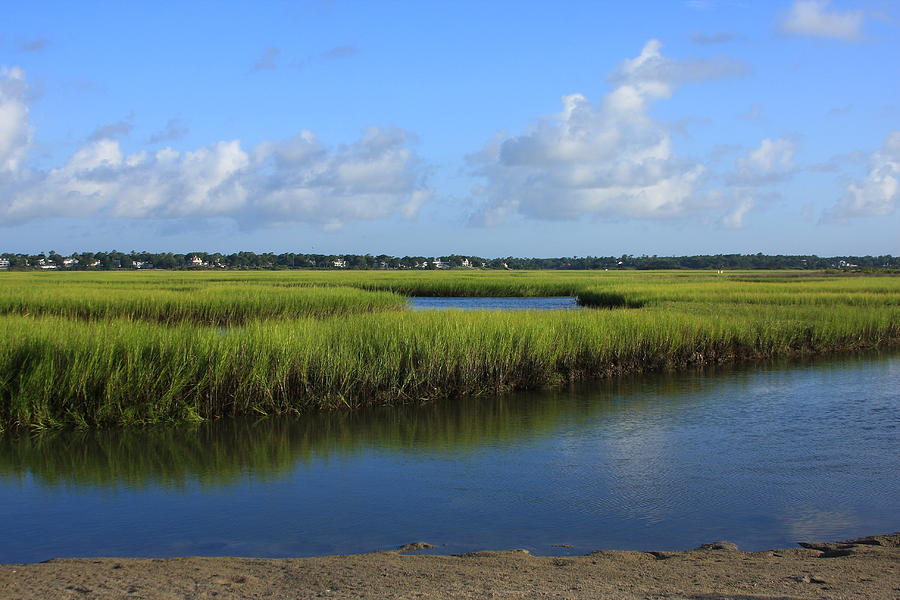 Landscape Photograph - Wrightsville Beach Marsh #8 by Michael Weeks